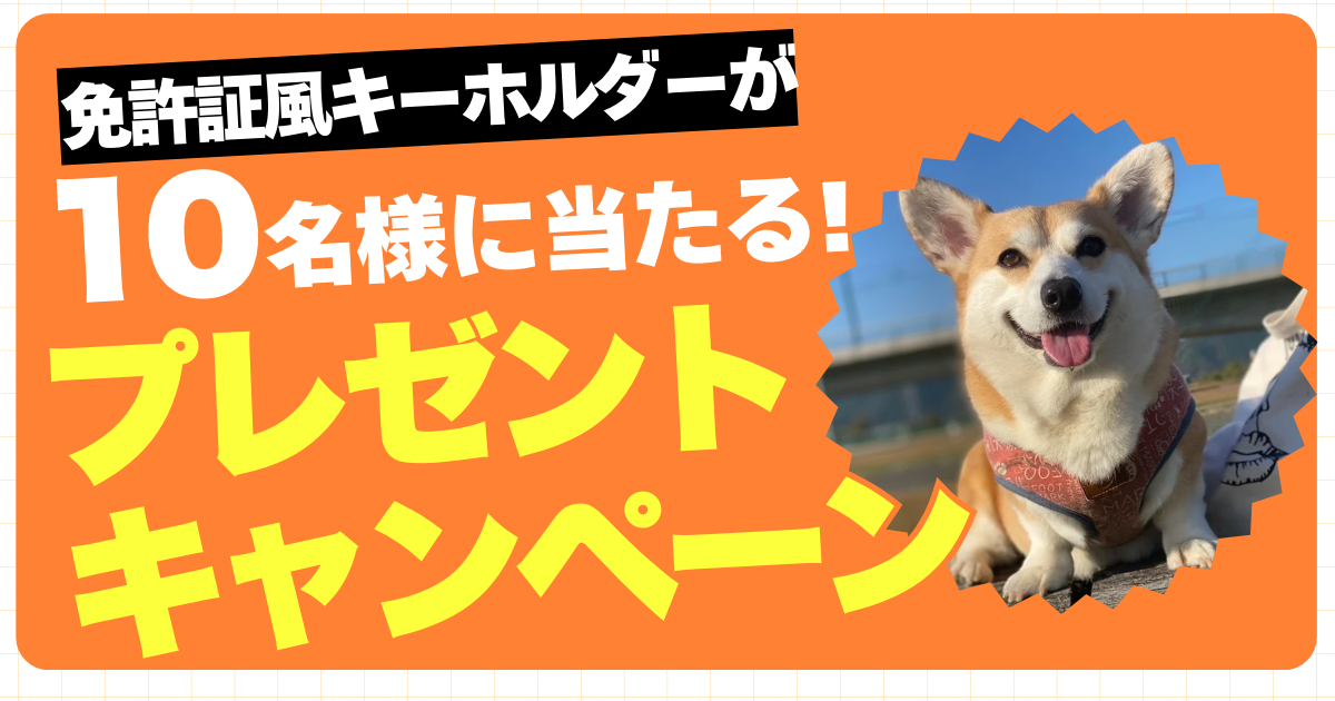 プレゼントキャンペーン!!
