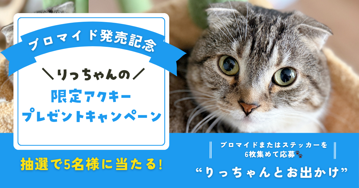 プレゼントキャンペーン!!